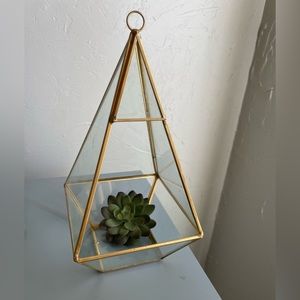 Geometric Glass Decor with Gold Trim